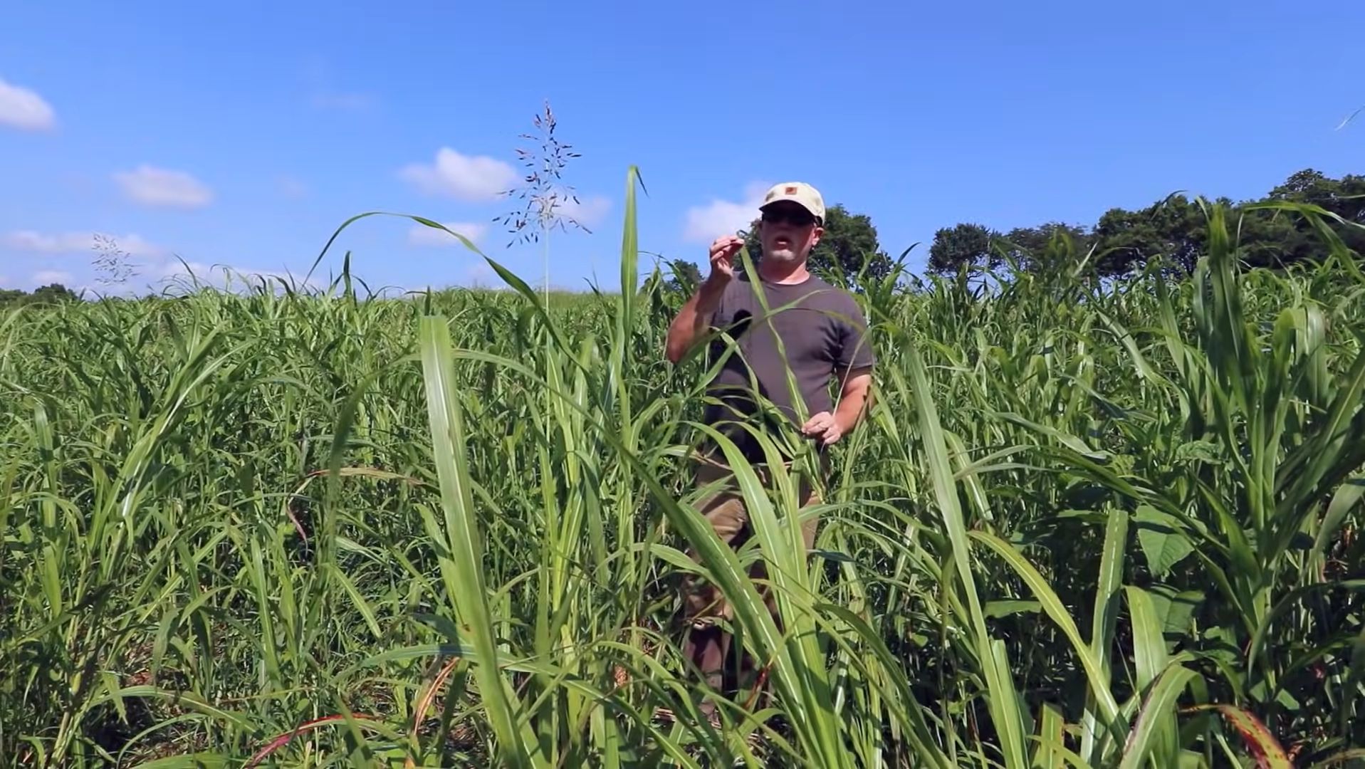 agricultura regenerativa